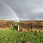 Welcome to the new look