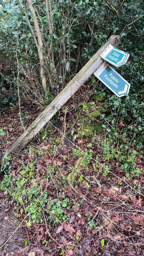 Image of fallen finger post