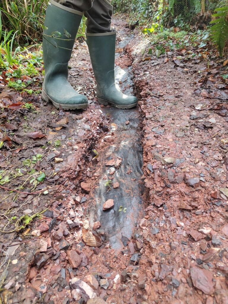 Image of FP61 before work