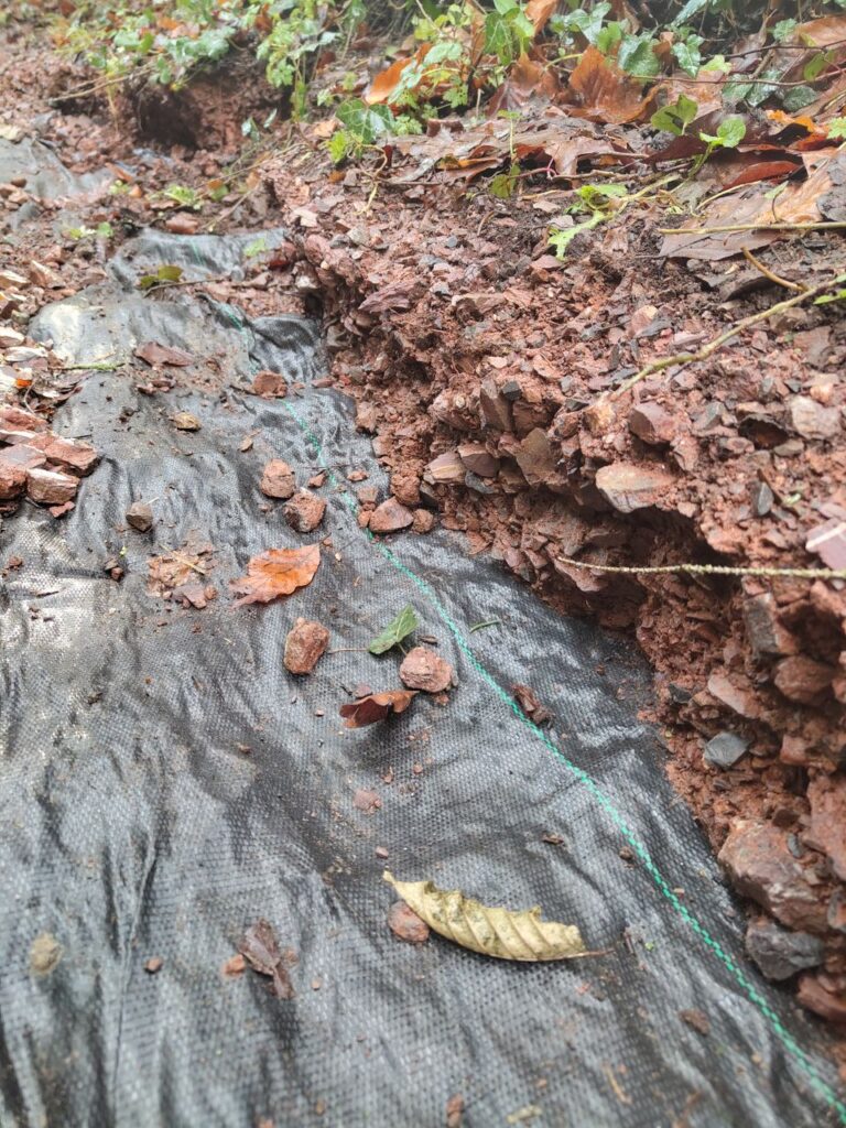 Image of FP61 before work