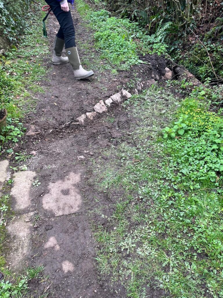 Image of drainage gully