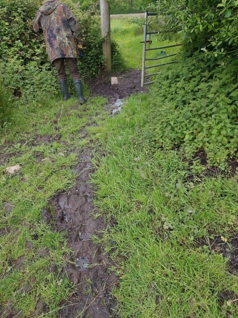 Photo of mud with Ricky in the background