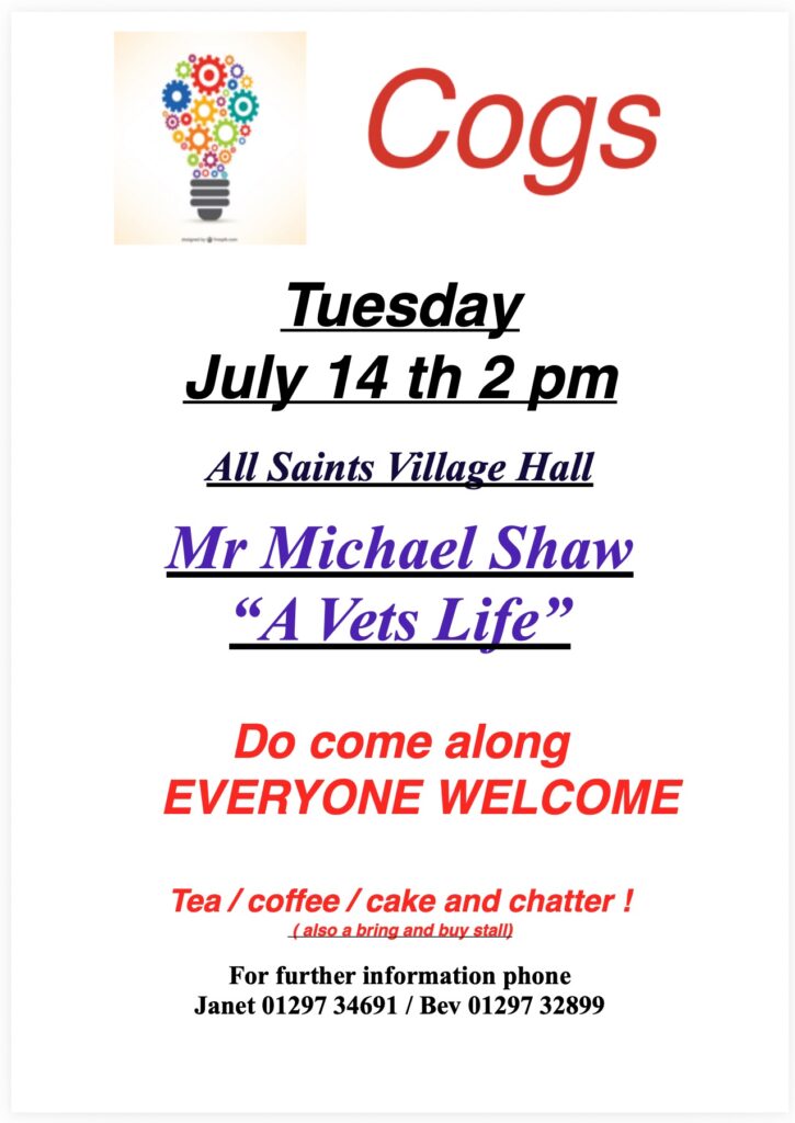 Poster for Cogs July meeting with Michael Shaw