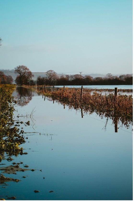 Image of flooded fields